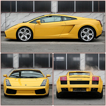 l_gallardo.jpg